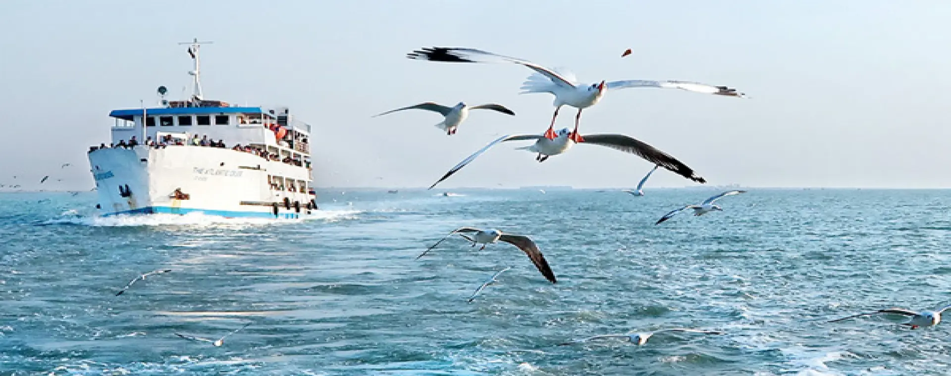best travel agency in bangladesh for Teknaf tour image