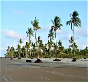 Barishal - South Center Destination Tour Image