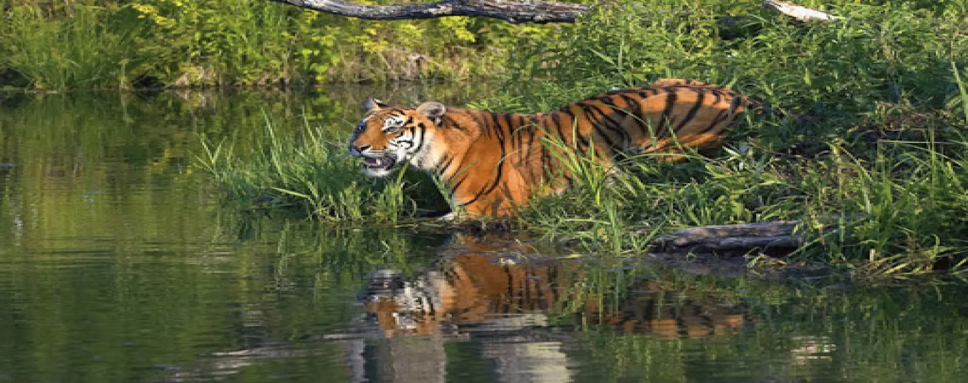 best travel agency in bangladesh for Dhaka tour image